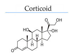 Corticoid